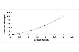 Typical standard curve (AANAT ELISA 试剂盒)