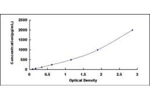 Typical standard curve (SCARB1 ELISA 试剂盒)