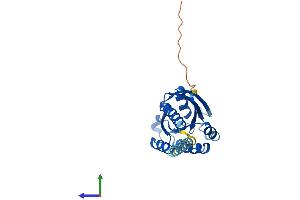 Protein Structure (PS) image for Ras-Like Without CAAX 2 (RIT2) (AA 1-217) protein (His tag) (ABIN7551359)