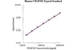ELISA image for Fms-Related tyrosine Kinase 1 (VEGFR1) (FLT1) ELISA Kit (ABIN3198627)