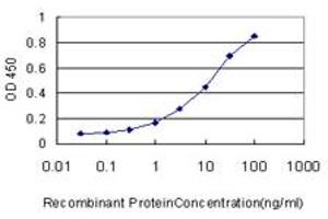 Detection limit for recombinant GST tagged IRX5 is approximately 0. (IRX5 抗体  (AA 204-264))
