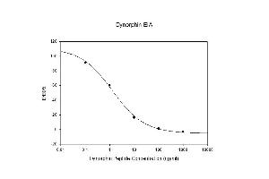 Standard Curve (PDYN ELISA 试剂盒)