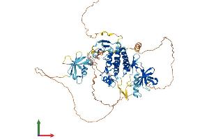 Protein Structure (PS) image for V-Raf-1 Murine Leukemia Viral Oncogene Homolog 1 (RAF1) (AA 1-648) protein (His tag) (ABIN7564914)