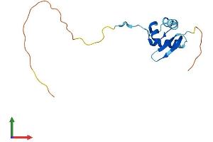 AlphaFold protein structure predicition of Mouse Recombinant Rps25 Protein, UniprotID P62852
