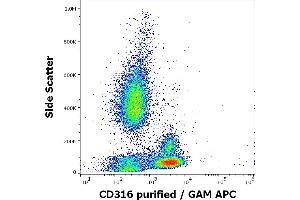 Flow cytometry surface staining pattern of human peripheral whole blood stained using anti-human CD316 (8A12) purified antibody (concentration in sample 5 μg/mL, GAM APC). (IGSF8 抗体)