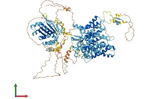 Protein Structure (PS) image for Solute Carrier Family 4, Sodium Bicarbonate Cotransporter, Member 4 (SLC4A4) (AA 1-1079) protein (His tag) (ABIN7562594)