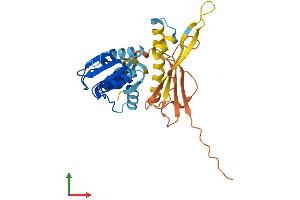 Protein Structure (PS) image for Dual Specificity Phosphatase 15 (DUSP15) (AA 1-295) protein (His tag) (ABIN7547265)