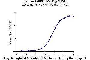 AMHRII (AA 18-144) (Active) protein (hFc Tag)