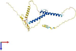 ASCL1 Protein (AA 1-236) (His tag)