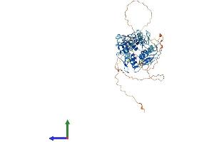 Protein Structure (PS) image for Zinc Finger Protein 182 (ZNF182) (AA 1-639) protein (His tag) (ABIN7545787)