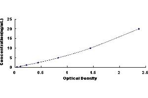 Ribonuclease T2 (RNASET2) ELISA Kit