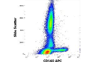 Flow cytometry surface staining pattern of human peripheral whole blood stained using anti-human CD160 (BY55) APC antibody (10 μL reagent / 100 μL of peripheral whole blood). (CD160 抗体  (APC))