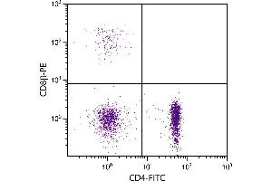 Chicken peripheral blood lymphocytes were stained with Mouse Anti-Chicken CD8β-PE. (CD8B 抗体)