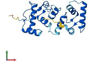 AlphaFold protein structure predicition of Mouse Recombinant Cib2 Protein, UniprotID Q9Z309