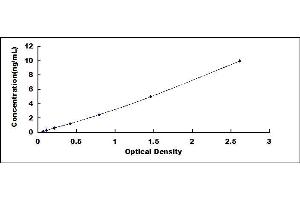 Typical standard curve (RHOA ELISA 试剂盒)
