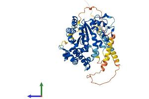 Protein Structure (PS) image for Carbohydrate (Chondroitin 6) Sulfotransferase 3 (CHST3) (AA 1-472) protein (His tag) (ABIN7562587)