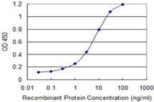 Detection limit for recombinant GST tagged EXOSC4 is 0. (EXOSC4 抗体  (AA 1-100))