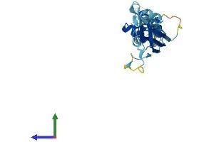AlphaFold protein structure predicition of Human Recombinant KCTD11 Protein, UniprotID Q693B1