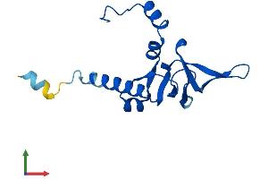 Protein Structure (PS) image for Ribosomal Protein L26 (RPL26) (AA 1-145) protein (His tag) (ABIN7556579)