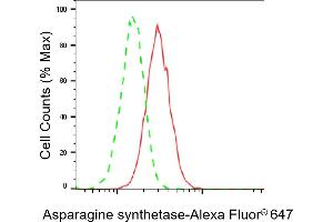 Flow cytometric analysis of Asparagine synthetase expression in HAP-1 cells using Asparagine synthetase antibody (ABIN7797662), 1:2,000). (Recombinant Asparagine Synthetase 抗体)