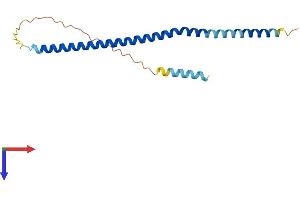 FAM9C Protein (AA 1-166) (His tag)