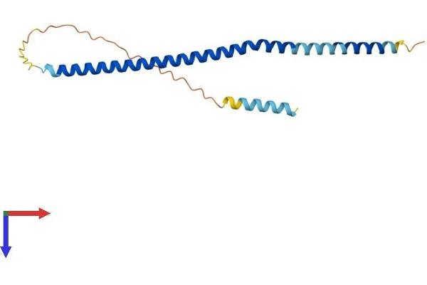 FAM9C Protein (AA 1-166) (His tag)