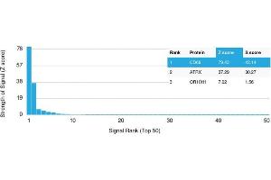 Analysis of Protein Array containing more than 19,000 full-length human proteins using CD68 Mouse Monoclonal Antibody (LAMP4/1830) Z- and S- Score: The Z-score represents the strength of a signal that a monoclonal antibody (MAb) (in combination with a fluorescently-tagged anti-IgG secondary antibody) produces when binding to a particular protein on the HuProtTM array. (CD68 抗体  (AA 150-301))