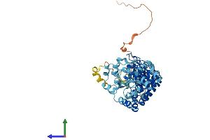 Protein Structure (PS) image for Ankyrin Repeat and SOCS Box-Containing 10 (ASB10) (AA 1-467) protein (His tag) (ABIN7552362)