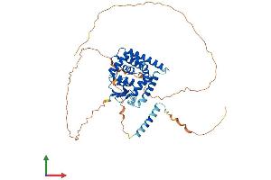 AlphaFold protein structure predicition of Human Recombinant MTX1 Protein, UniprotID Q13505