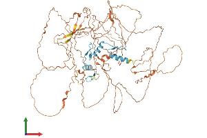 Protein Structure (PS) image for Sp3 Transcription Factor (Sp3) (AA 1-781) protein (His tag) (ABIN7555547)
