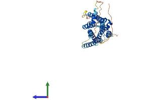 AlphaFold protein structure predicition of Mouse Recombinant Grpr Protein, UniprotID P21729