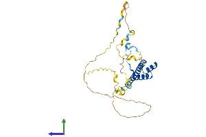 Protein Structure (PS) image for T-Cell Leukemia Homeobox 2 (TLX2) (AA 1-284) protein (His tag) (ABIN7544510)