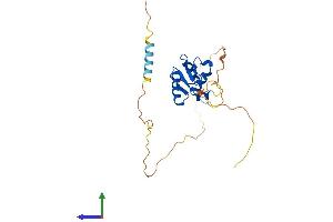 Protein Structure (PS) image for Spi-C Transcription Factor (Spi-1/PU.1 Related) (SPIC) (AA 1-242) protein (His tag) (ABIN7557989)