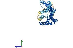 Protein Structure (PS) image for Olfactory Receptor, Family 3, Subfamily A, Member 2 (OR3A2) (AA 1-321) protein (His tag) (ABIN7550081)