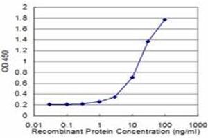 Detection limit for recombinant GST tagged EEF1D is approximately 1ng/ml as a capture antibody. (EEF1D 抗体  (AA 1-91))