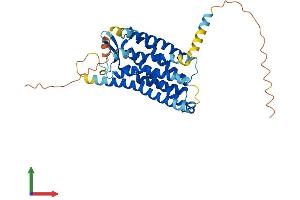 Protein Structure (PS) image for Chemokine-Like Receptor 1 (CMKLR1) (AA 1-371) protein (His tag) (ABIN7556815)