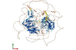 Protein Structure (PS) image for Zinc Finger, CCHC Domain Containing 11 (ZCCHC11) (AA 1-1644) protein (His tag) (ABIN7555863)