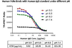 The kit has been used to detect the binding activity between Human FcRn and Human IgG standard under different pH. (人 FcRn binding Kit (TR-FRET))