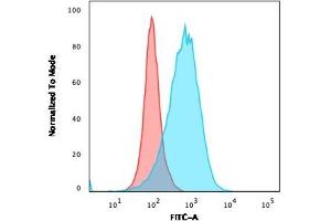 Flow Cytometric Analysis of Ramos cells using CD86 Rabbit Recombinant Monoclonal Antibody (C86/2160R) followed by goat anti-Mouse IgG-CF488 (Blue); Isotype Control (Red). (Recombinant CD86 抗体)