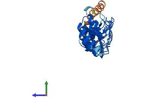 Protein Structure (PS) image for Ankyrin Repeat Domain 19, Pseudogene (ANKRD19P) (AA 1-264) protein (His tag) (ABIN7552284)