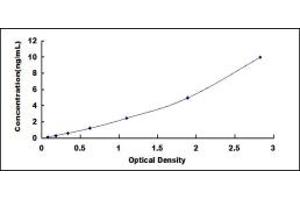 Typical standard curve (Myosin 9 ELISA 试剂盒)