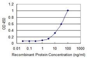 Detection limit for recombinant GST tagged LCMT1 is 0. (LCMT1 抗体  (AA 1-334))