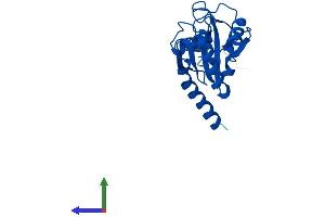 Protein Structure (PS) image for Glutathione Peroxidase 8 (GPX8) (AA 1-209) protein (His tag) (ABIN7548183)