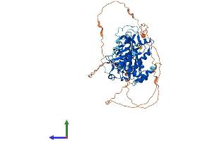Protein Structure (PS) image for Tubulin Tyrosine Ligase-Like Family, Member 2 (TTLL2) (AA 1-592) protein (His tag) (ABIN7544835)