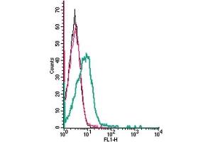 Cell surface detection of Ephrin-A1 by indirect flow cytometry in live intact human Jurkat T-cell leukemia cells: (black line) Cells. (Ephrin A1 抗体  (Extracellular))
