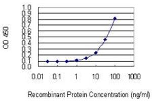 Detection limit for recombinant GST tagged NCSTN is 1 ng/ml as a capture antibody. (Nicastrin 抗体  (AA 16-115))