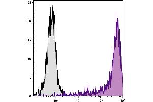 Human peripheral blood monocytes were stained with Mouse Anti-Human CD14-PE/CY5. (CD14 抗体  (SPRD))