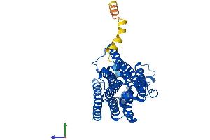 AlphaFold protein structure predicition of Human Recombinant PAQR8 Protein, UniprotID Q8TEZ7