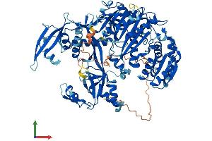 AlphaFold protein structure predicition of Mouse Recombinant Piwil4 Protein, UniprotID Q8CGT6