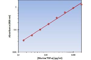 This is an example of what a typical standard curve will look like.